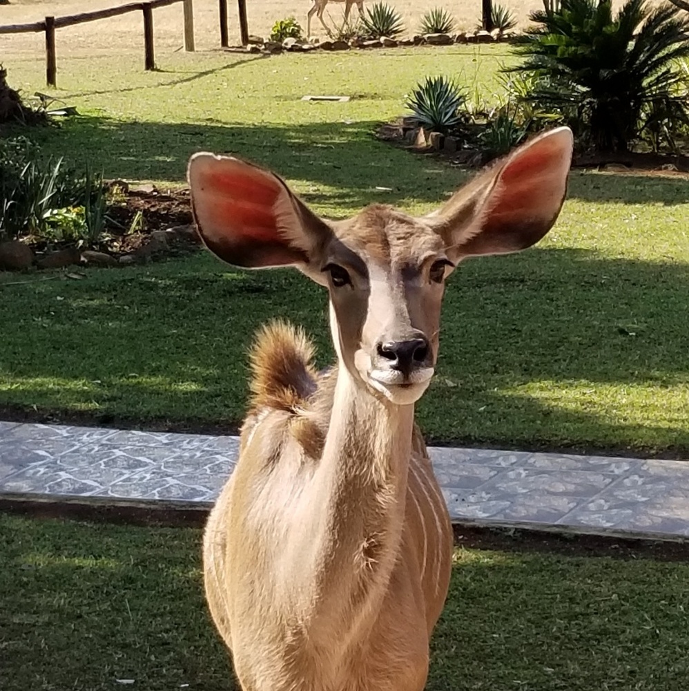 Meet your Posher, Deb